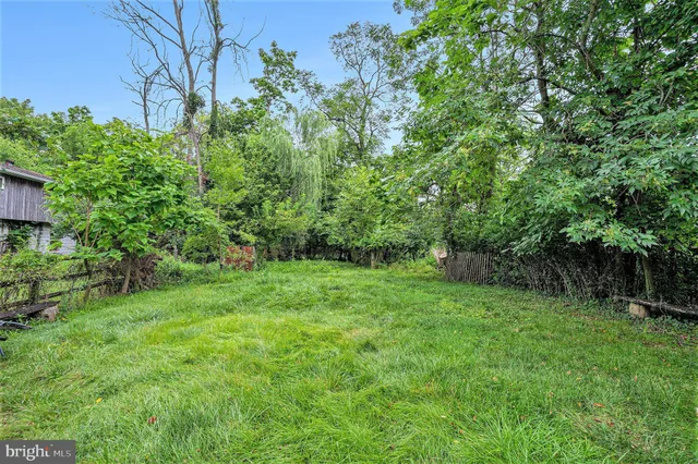 a view of a back yard