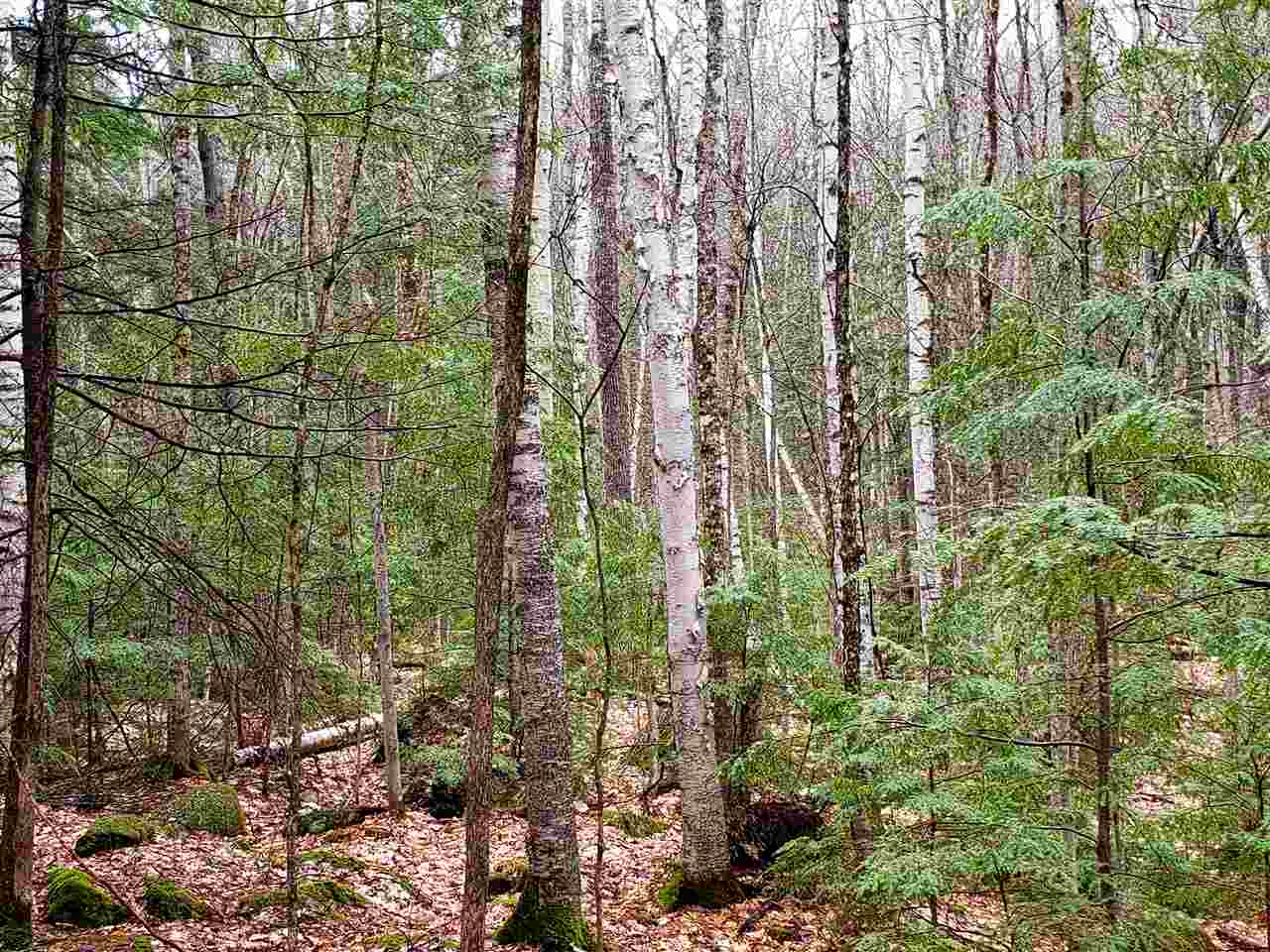 Partridge Hill Road, Unit 84 Sandwich, NH 03227 - Photo 4 of 8