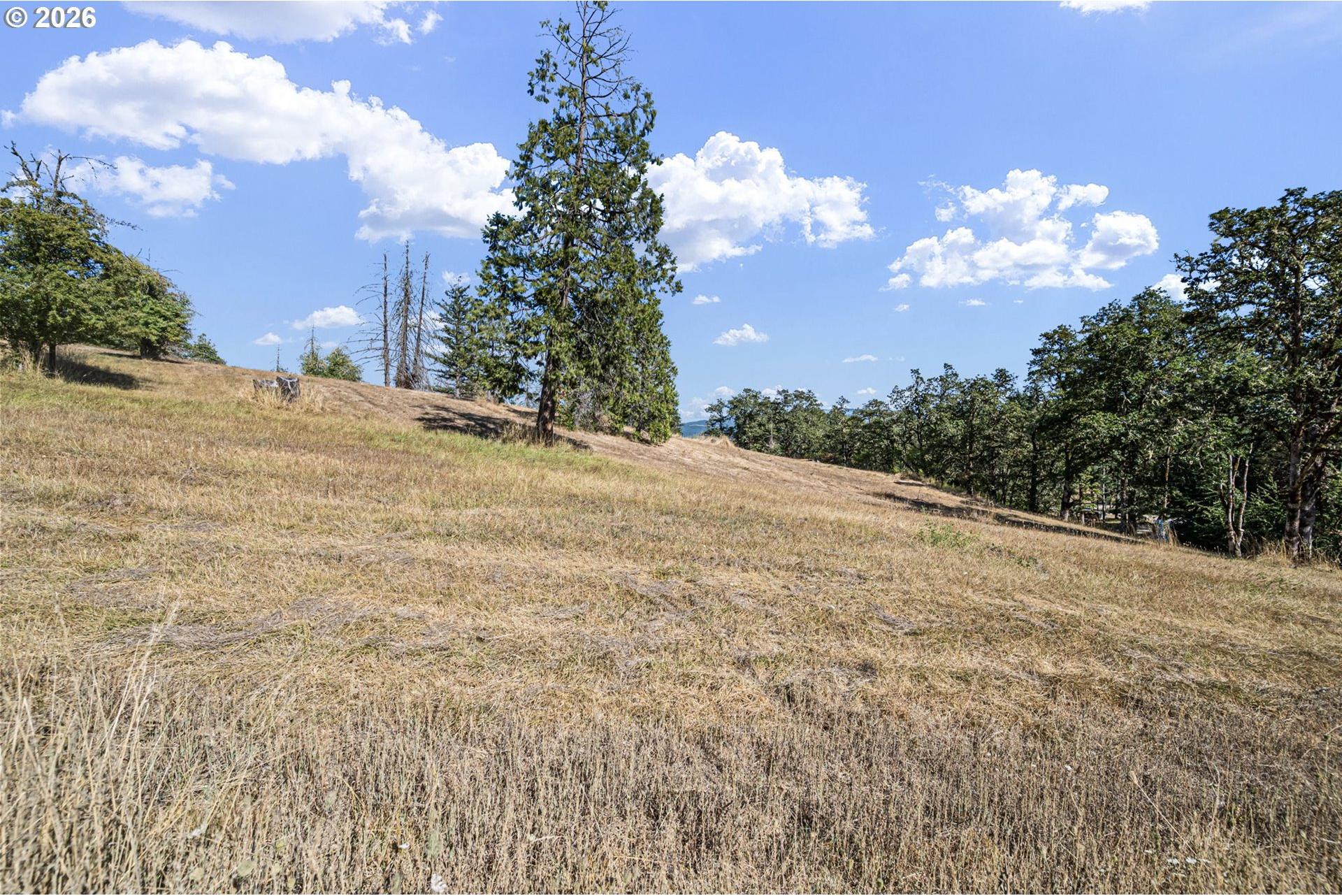 785 Mathis Hill Road Yoncalla, OR 97499 - Photo 47 of 48 Gallery Image 47