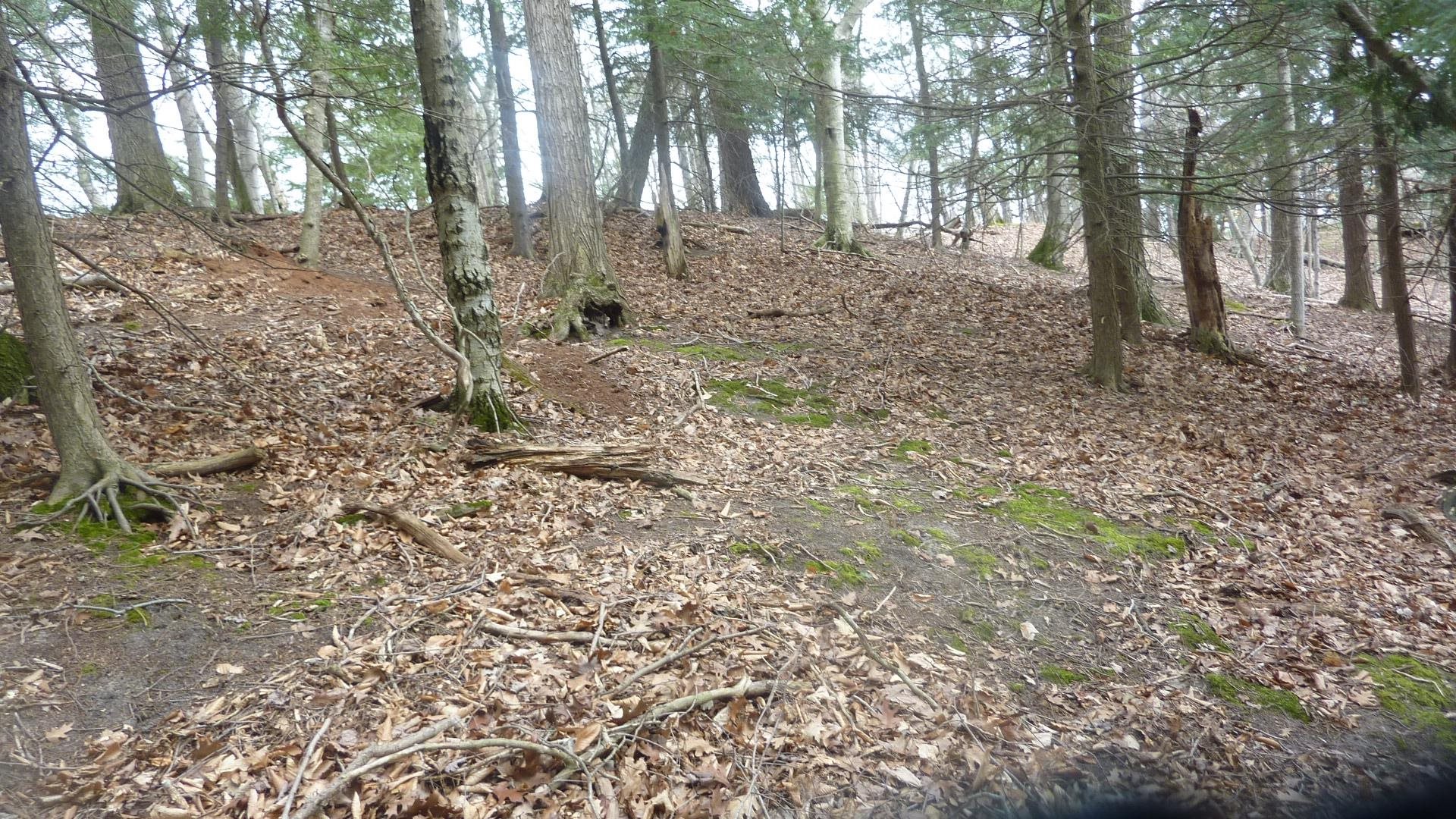 0 Old State Road Frankfort, MI 49635 - Photo 6 of 17