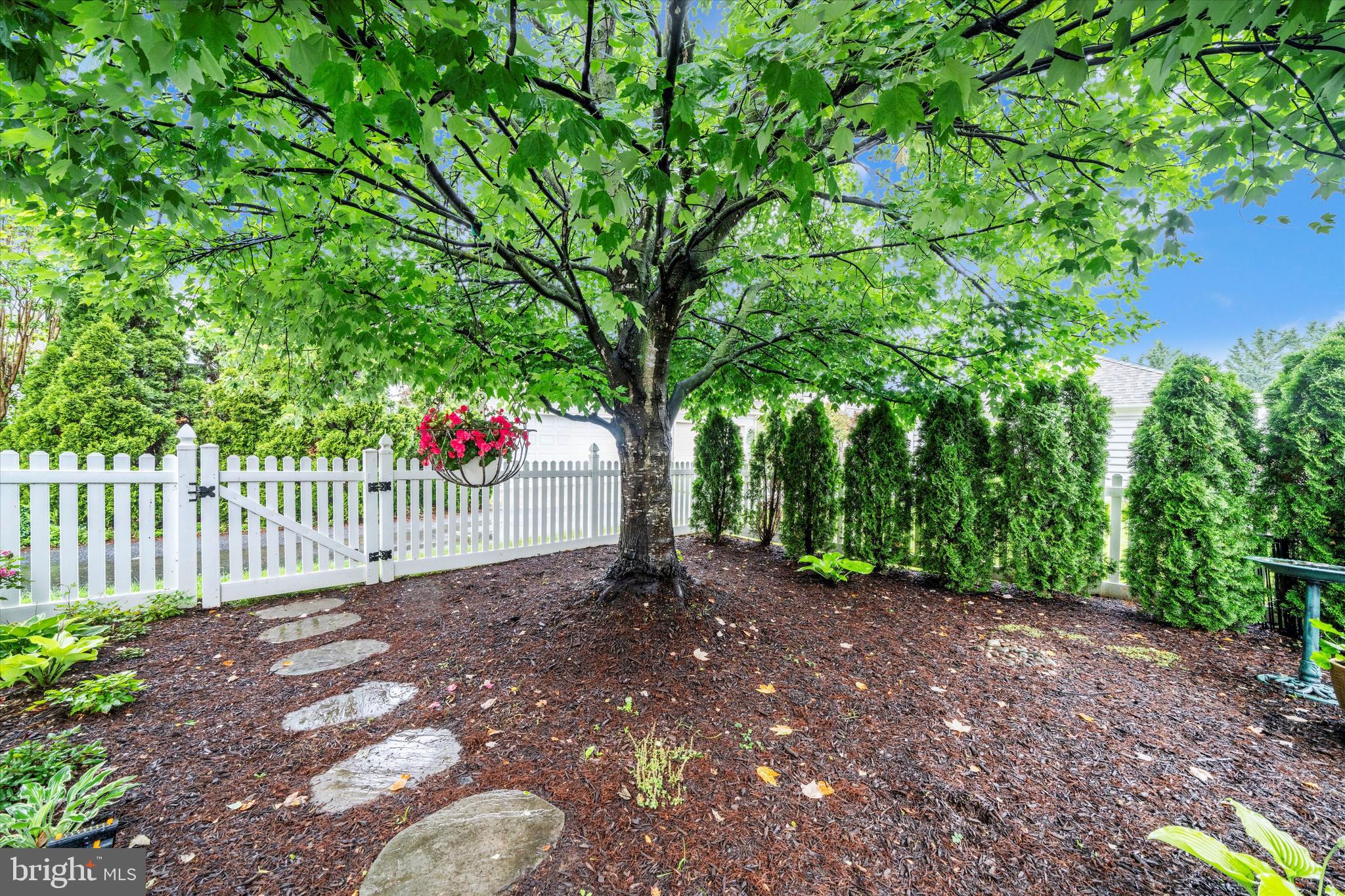 2447 Merchant Street Frederick, MD 21701 - Photo 45 of 56 Backyard