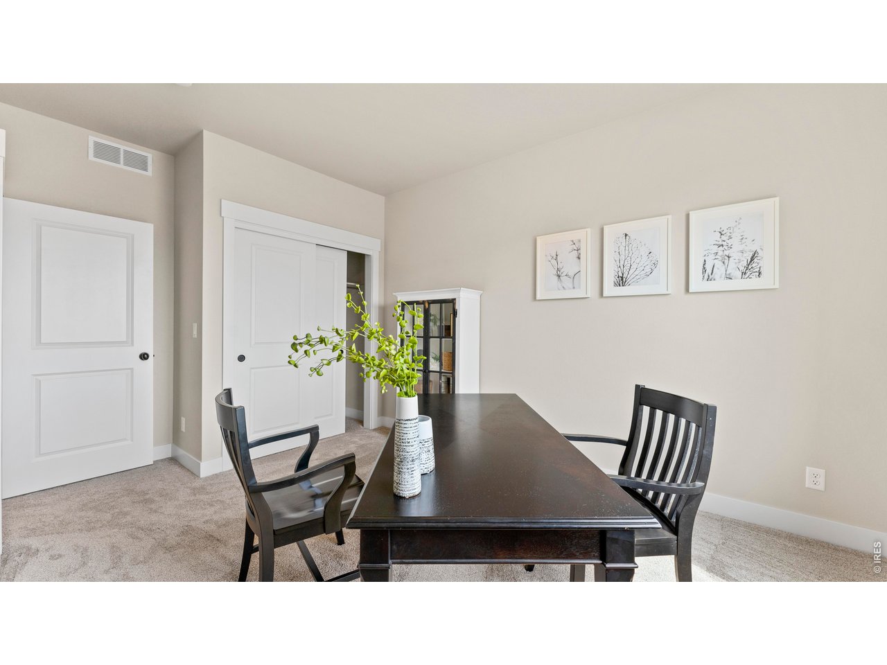 6244 Vernazza Way, Unit 3 Windsor, CO 80550 - Photo 14 of 35