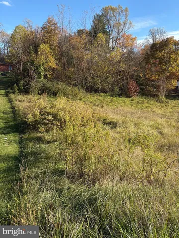 a view of a yard with a tree