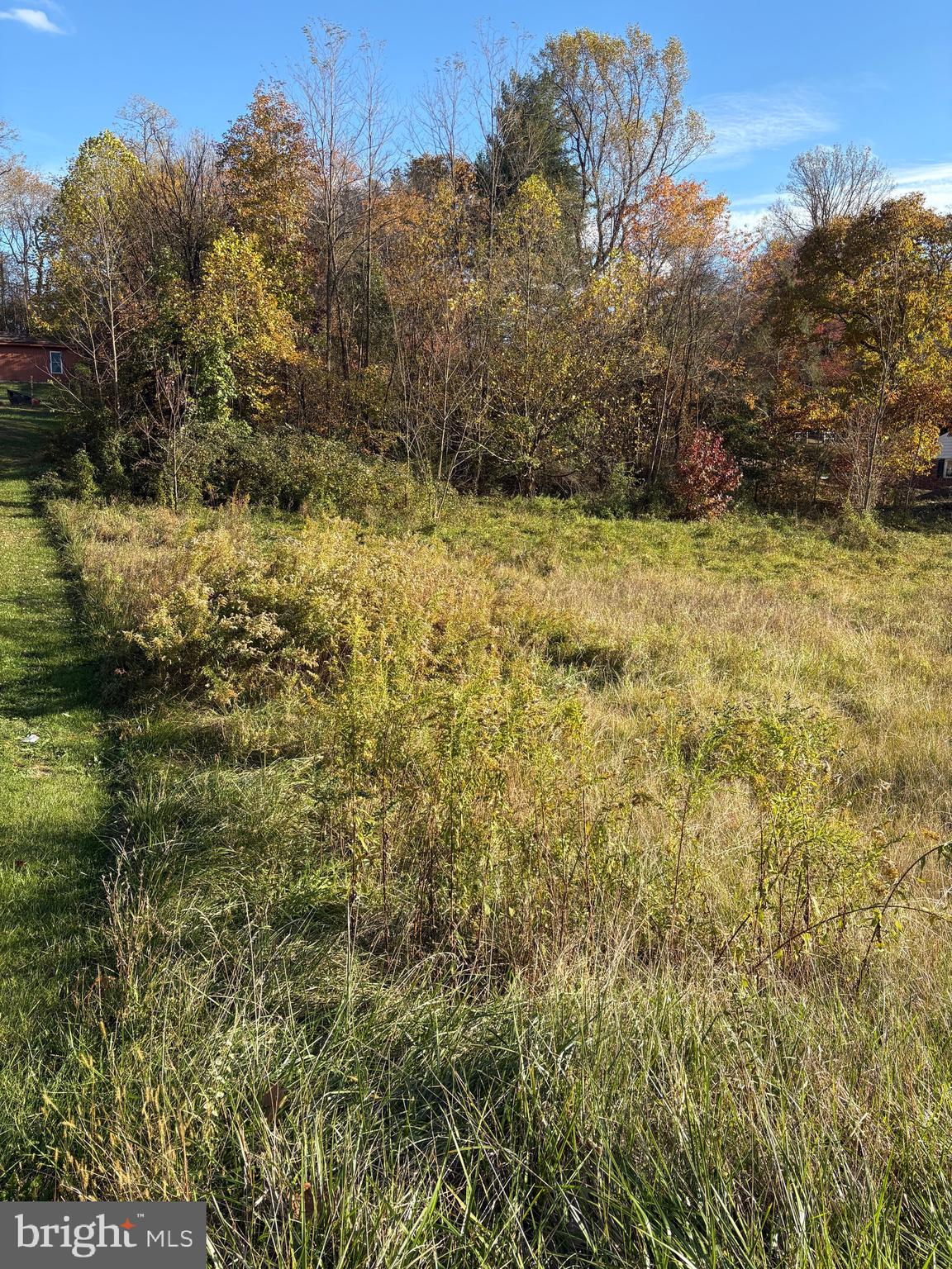 26815 Clarksburg Road Damascus, MD 20872 - Photo 2 of 6 a view of a yard with a tree