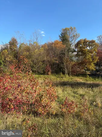a view of lake with green space