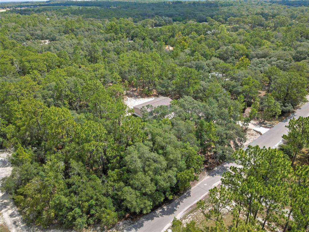 5611 West Rochelle Street Homosassa, FL 34446 - Photo 55 of 56
