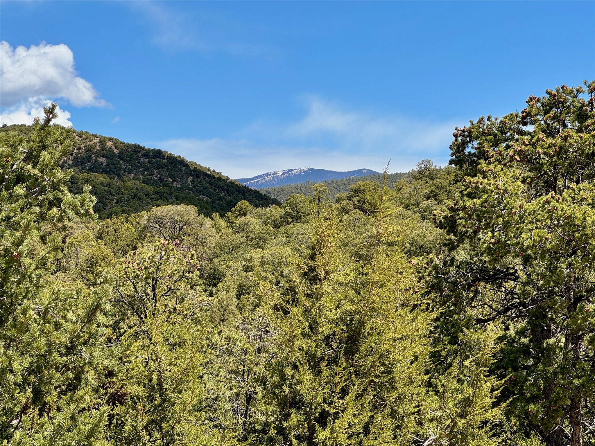 1083 South Summit Ridge, Unit LOT 3 Santa Fe, NM 87501 - Photo 28 of 70