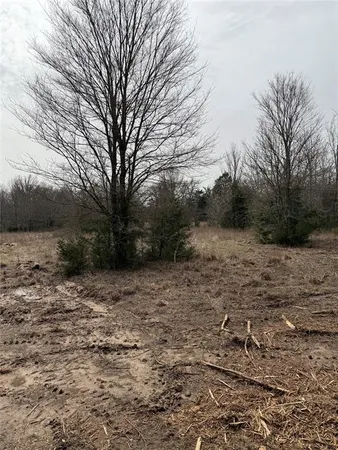 a view of a field with trees in the background