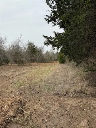 a view of outdoor space with trees