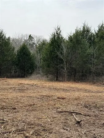 a view of dirt field with trees in the background