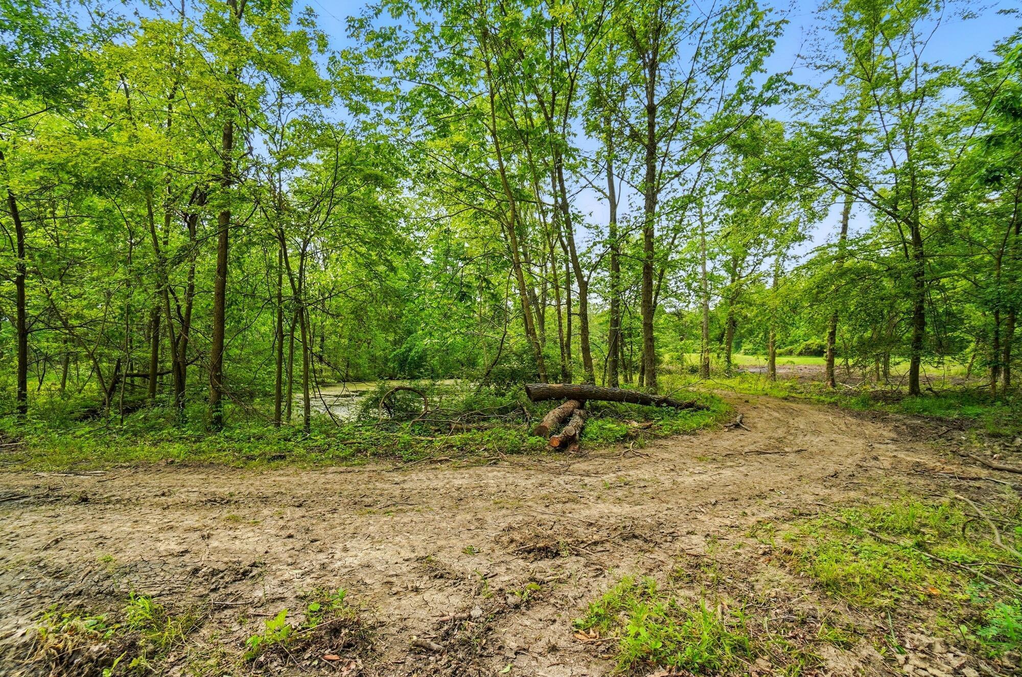 0 Riley Road Northwest Johnstown, OH 43031 - Photo 9 of 10 099
