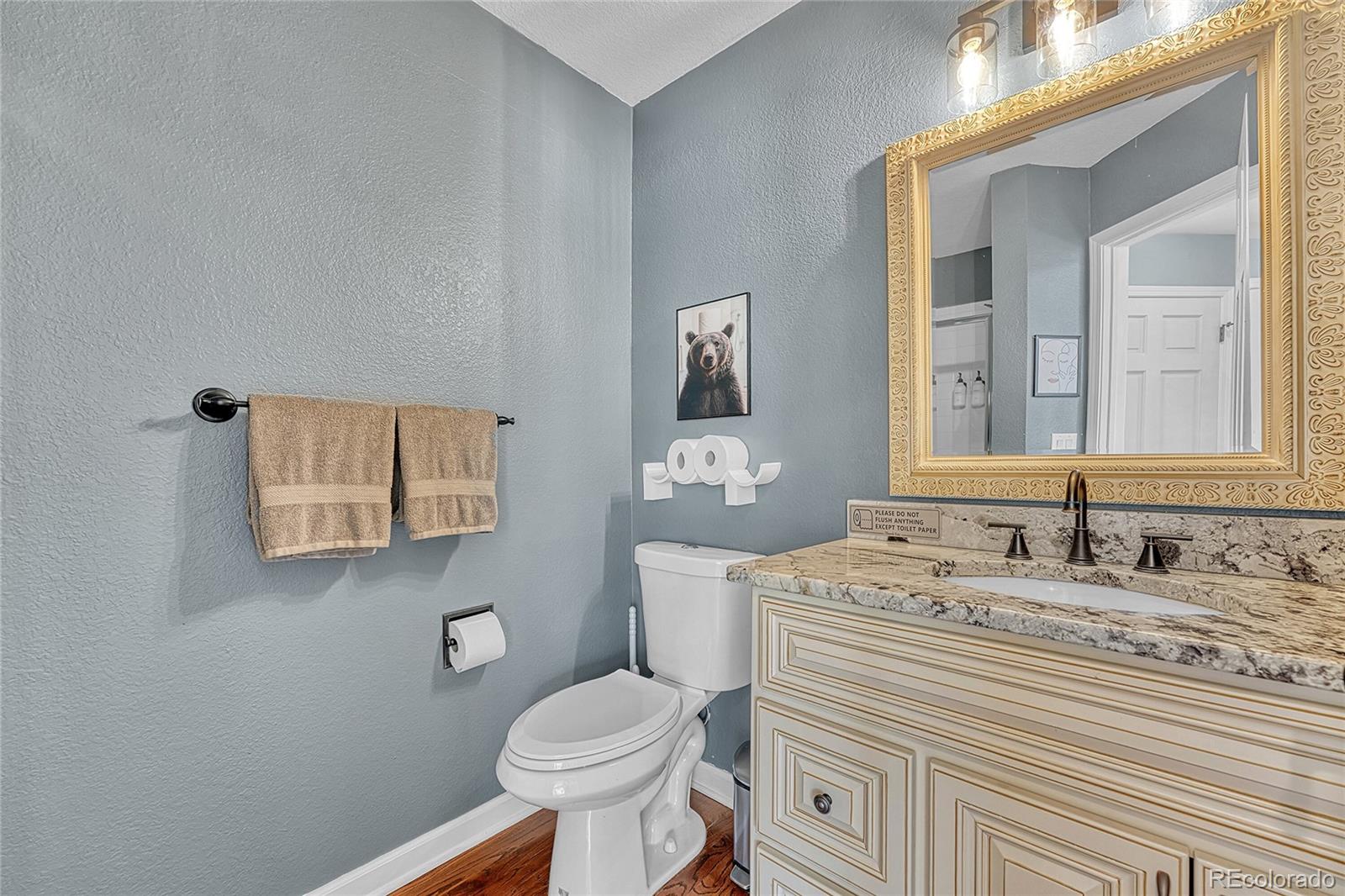 6722 Eagle Place Highlands Ranch, CO 80130 - Photo 17 of 47 a bathroom with a sink vanity mirror and toilet