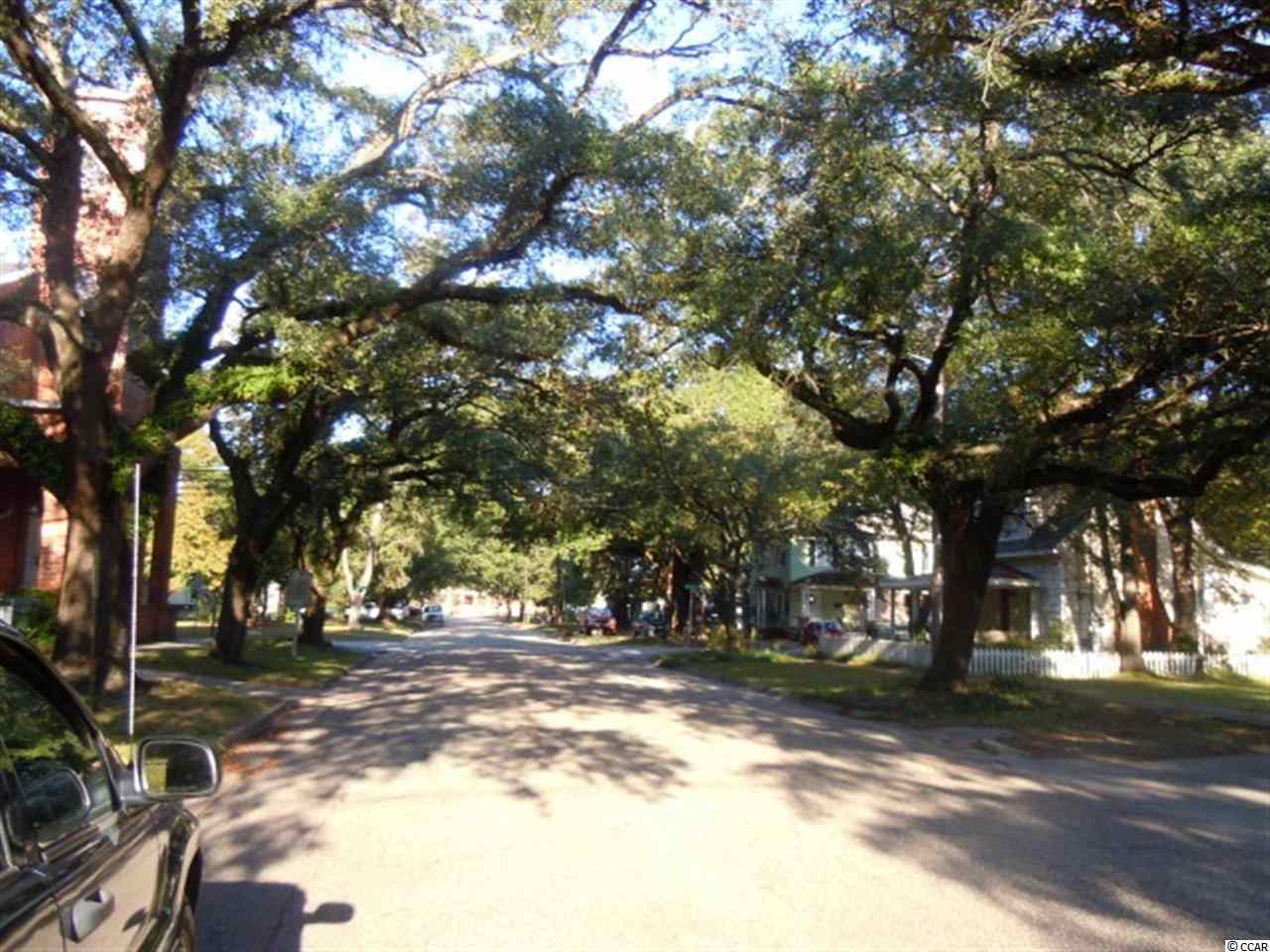 1021 Duke Street Georgetown, SC 29440 - Photo 2 of 2 Gallery Image 2