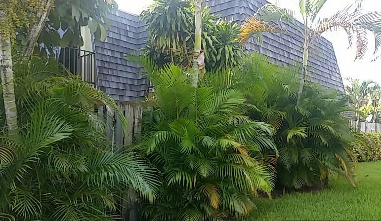 153 Woodland Road Palm Springs, FL 33461 - Photo 1 of 7 Front