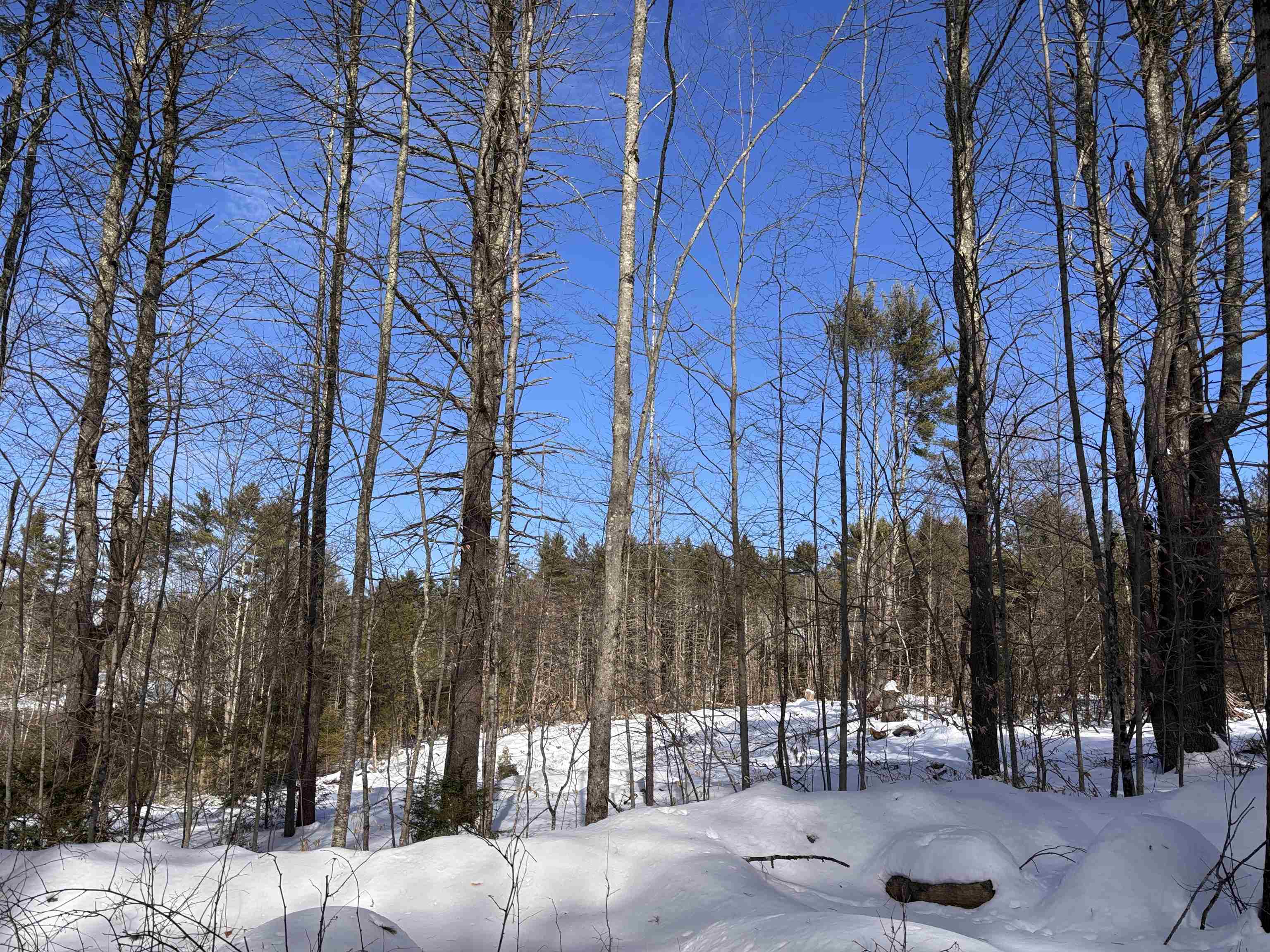 M409-l66 Old Turnpike Road Richmond, NH 03470 - Photo 6 of 13