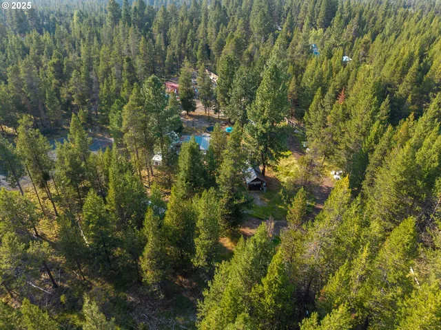 a view of outdoor space and trees
