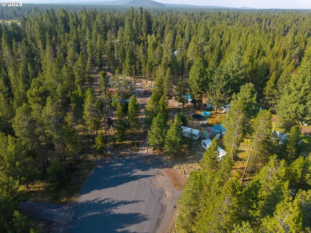 a view of a house with a lush green forest