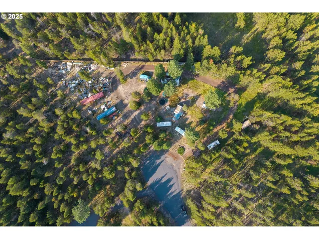 a view of a lush green forest with a street