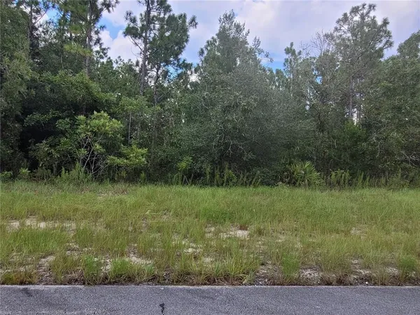 a view of a field with a tree
