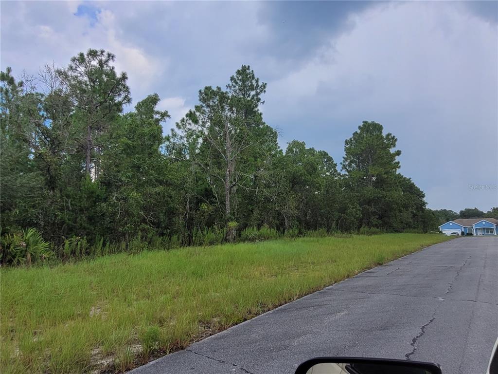 135 Southwest Sw Street Ocala, FL 34473 - Photo 3 of 5 a view of a golf course with a garden
