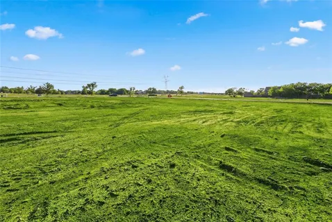a view of an ocean from a yard