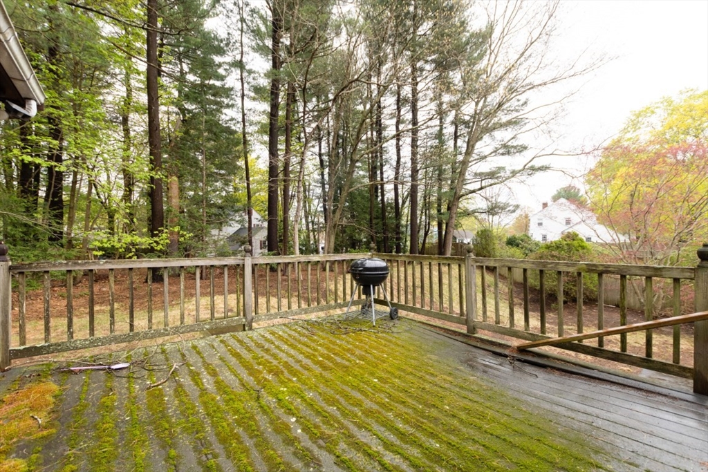 49 Benton Circle Reading, MA 01867 - Photo 25 of 39