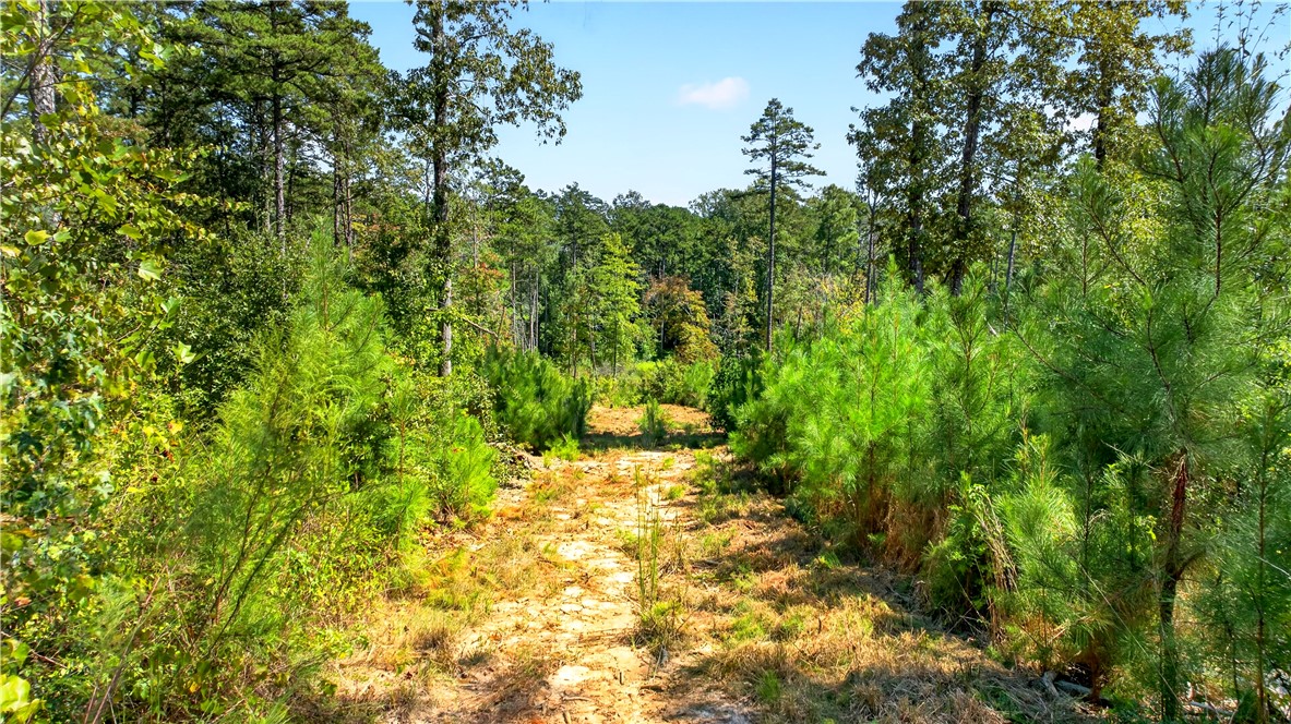 Lot 6 Coffee Road Walhalla, SC 29691 - Photo 15 of 22 Gallery Image 15