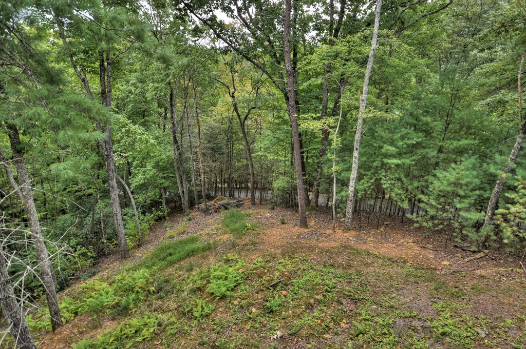 100 Oak View Road Blue Ridge, GA 30513 - Photo 63 of 63 Gallery Image 63