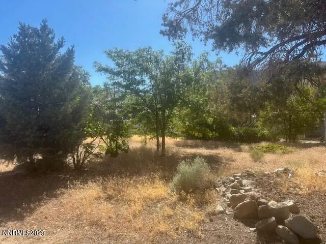 a view of a yard with a tree