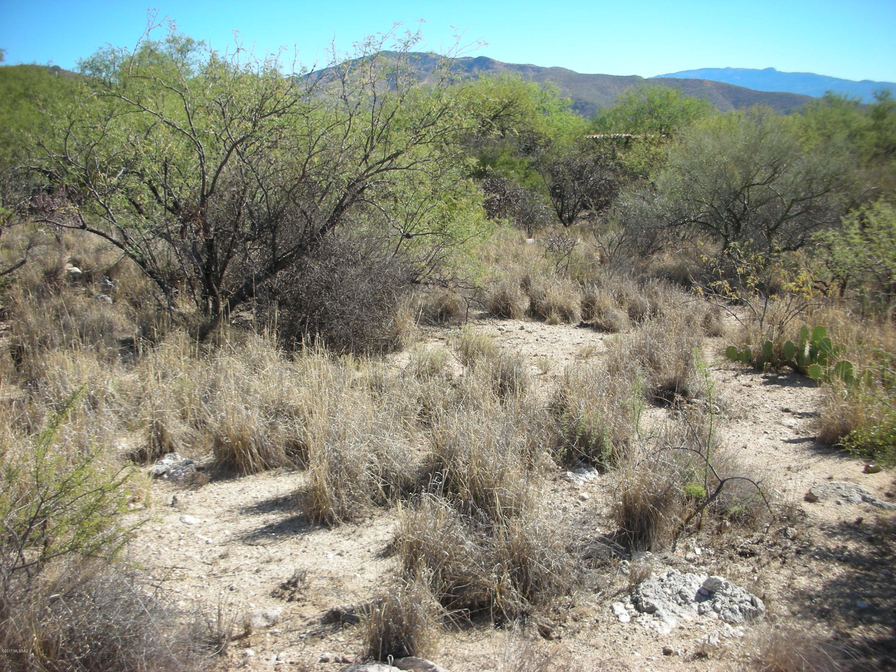 5240 North Mt Lemmon Short Road, Unit 5 Tucson, AZ 85749 - Photo 9 of 19