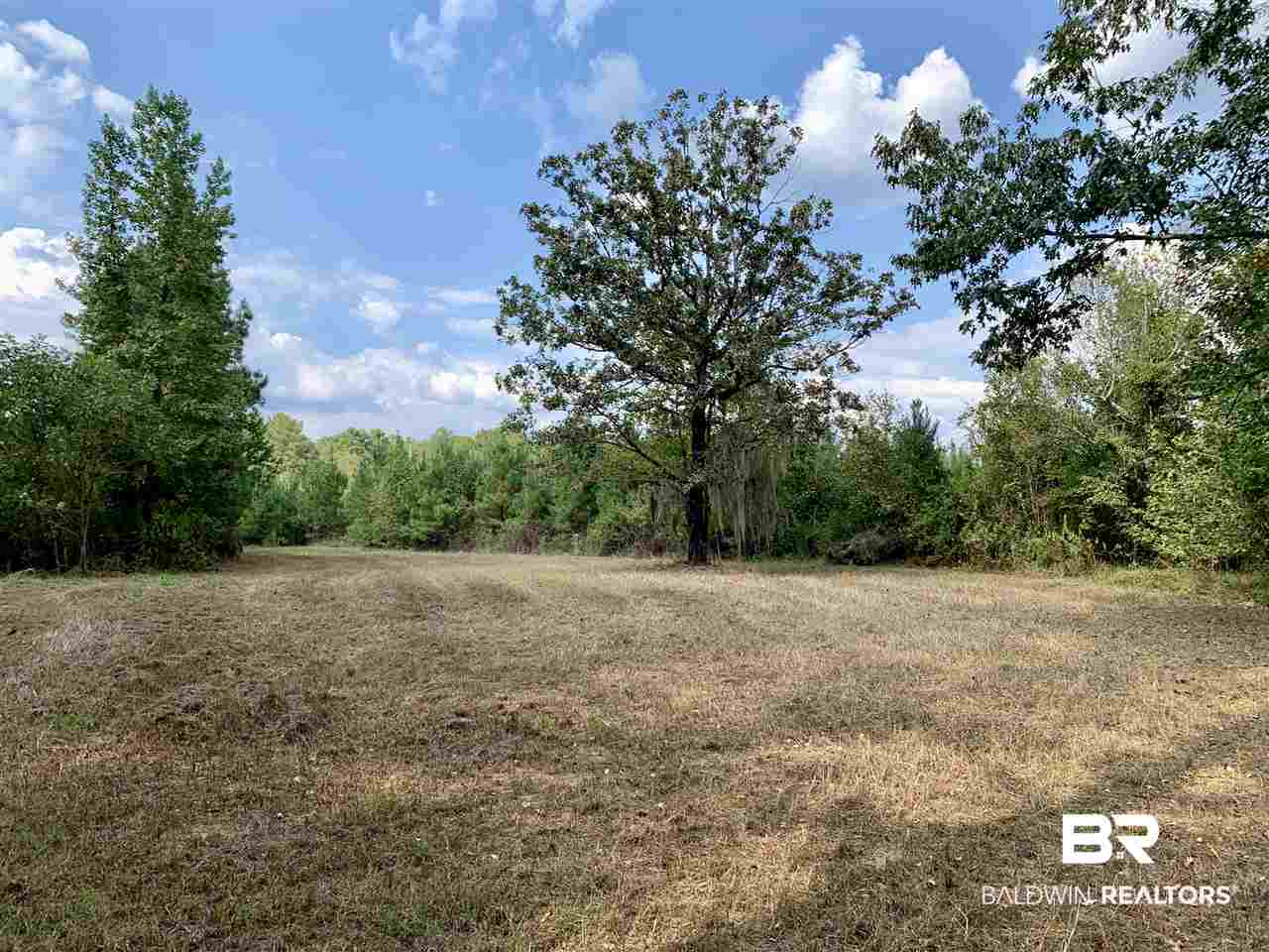 0 Holly Creek Road Stockton, AL 36579 - Photo 11 of 50