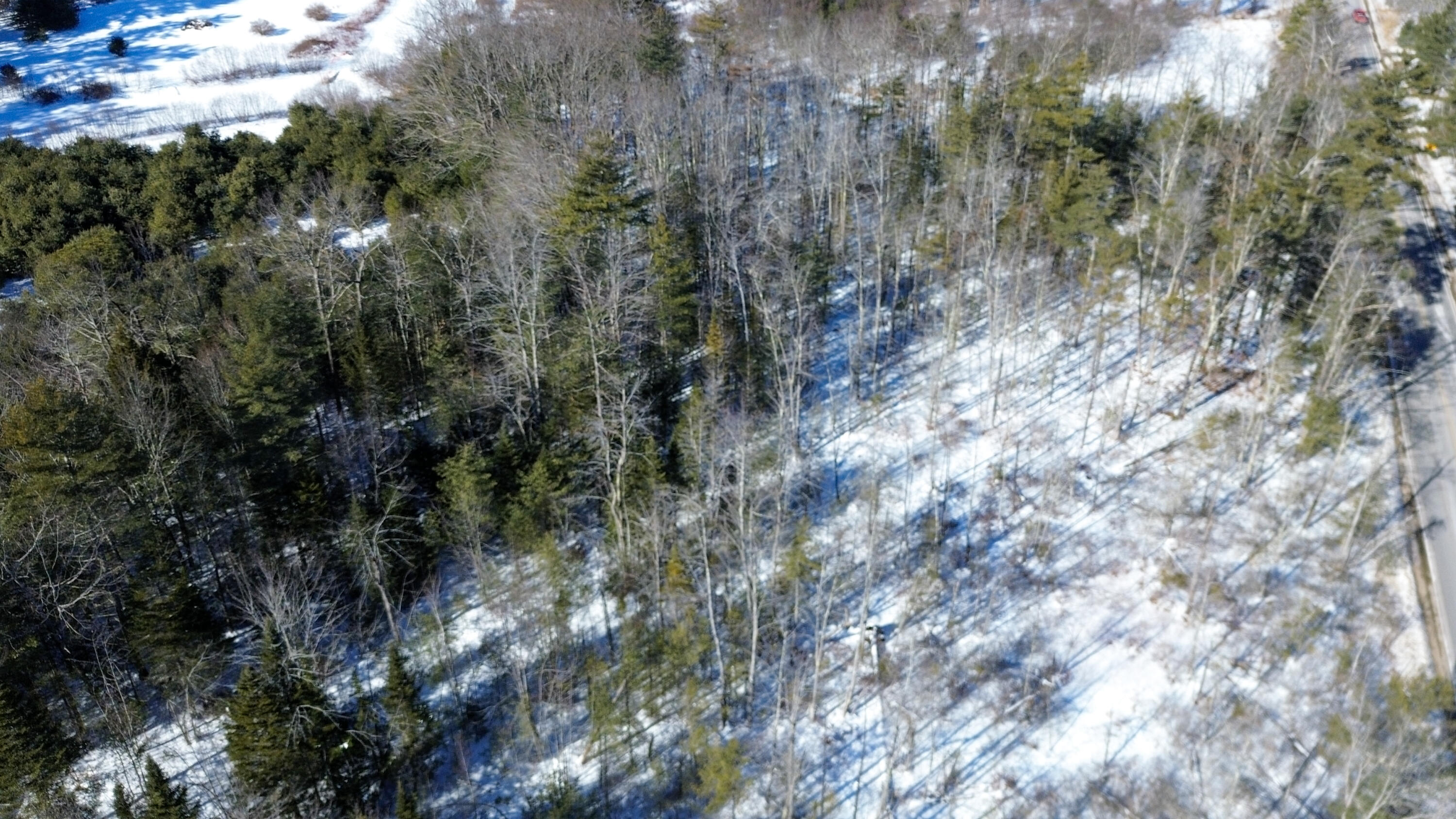Lot 28-1-a Saco Road Standish, ME 04084 - Photo 4 of 22 DJI_0016