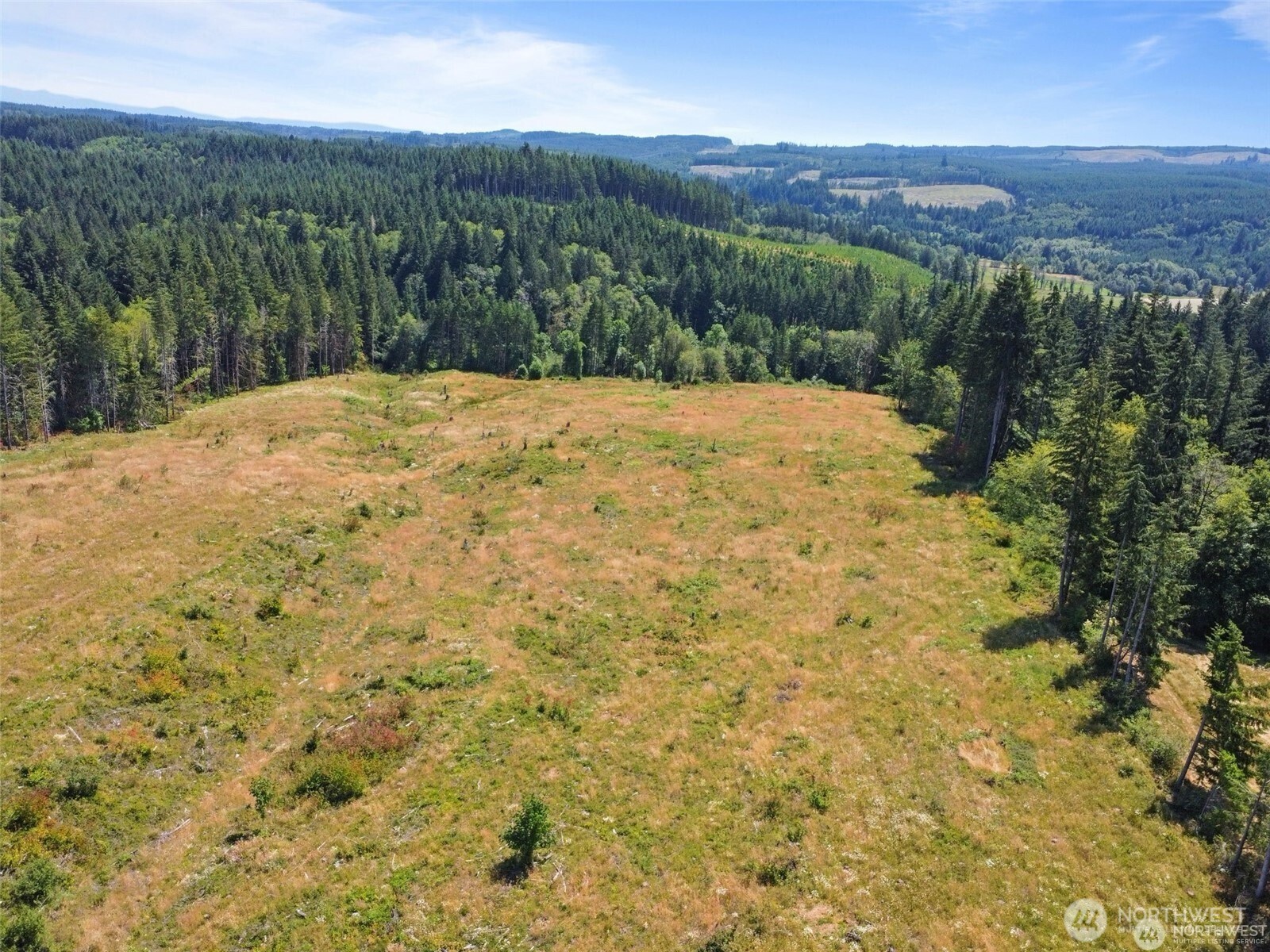 597 Brown Road East Chehalis, WA 98532 - Photo 12 of 19