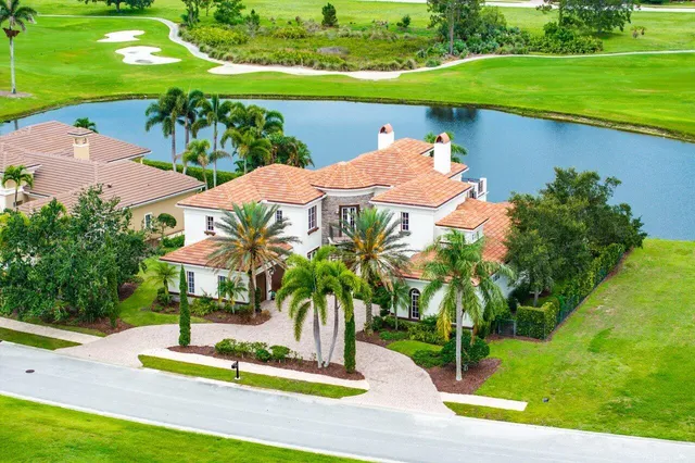 a view of a lake with a palm trees