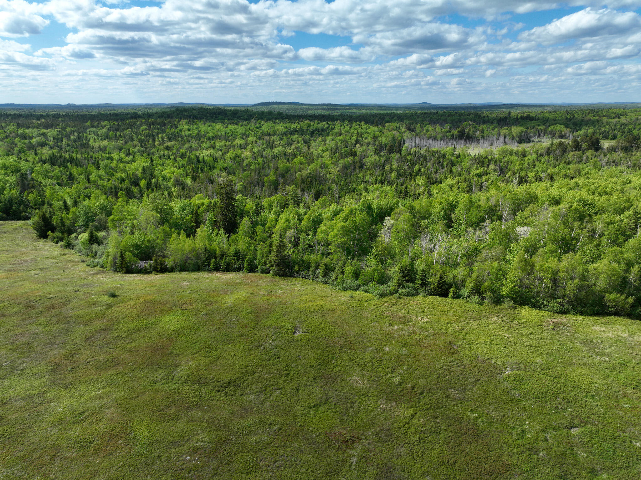 18-05 Number 9 Road Lubec, ME 04652 - Photo 14 of 43 DJI_0403
