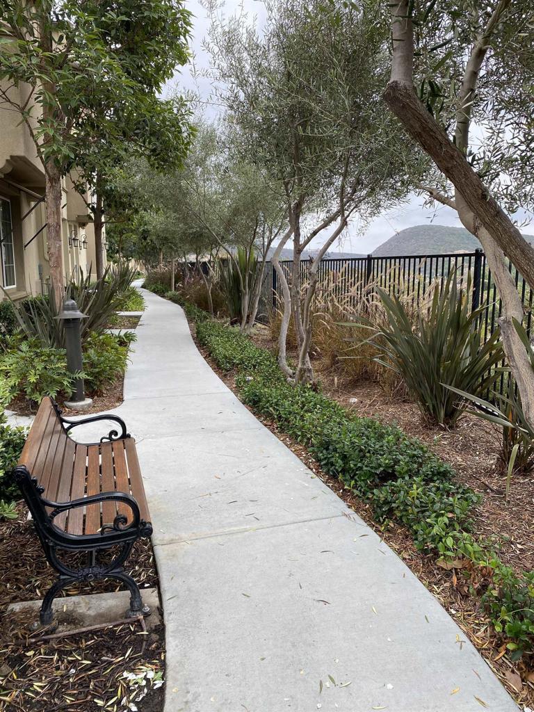 2256 Flatiron Way San Marcos, CA 92078 - Photo 19 of 22 a view of a garden with wooden fence