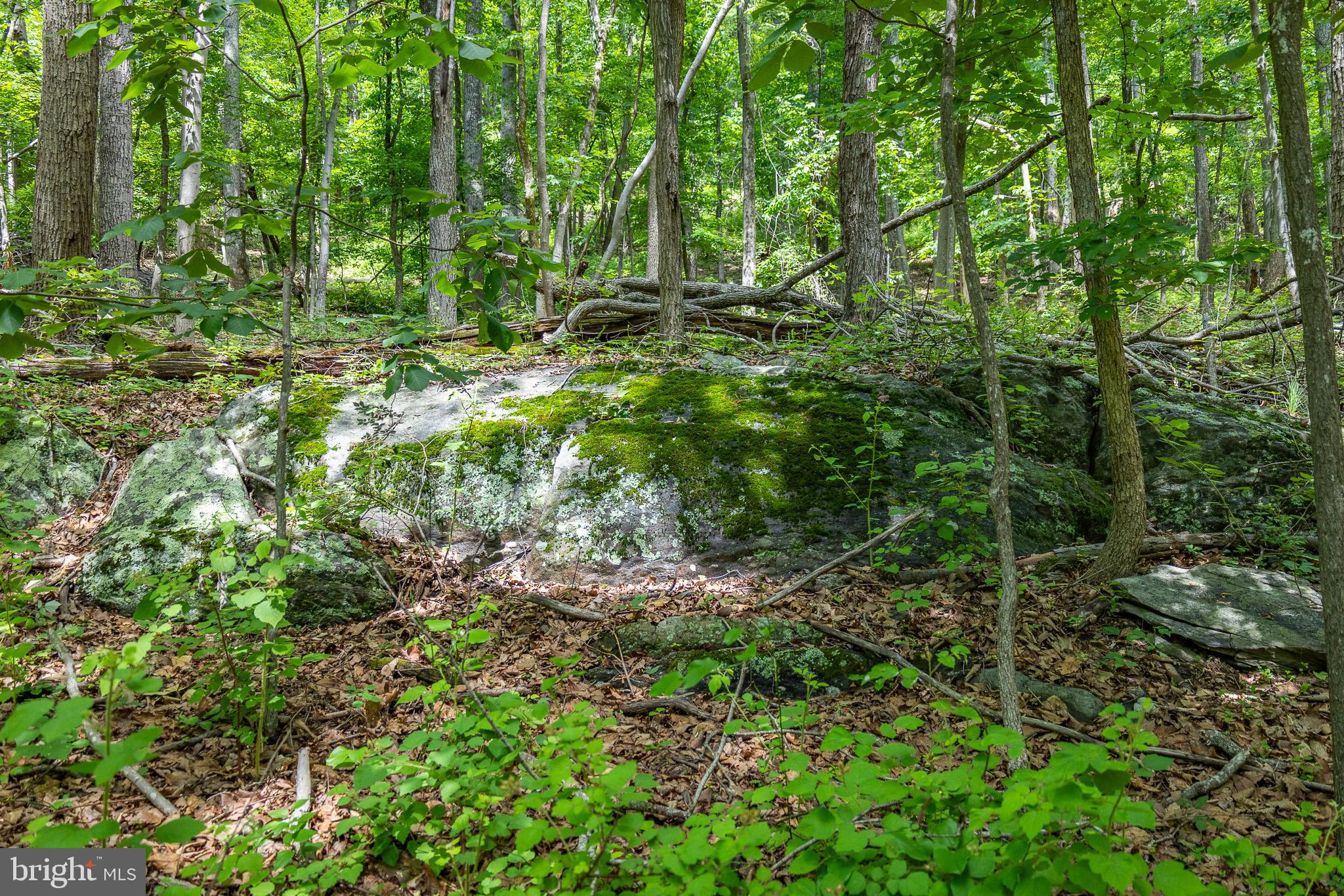 Tbd Comptons Road Castleton, VA 22716 - Photo 23 of 33