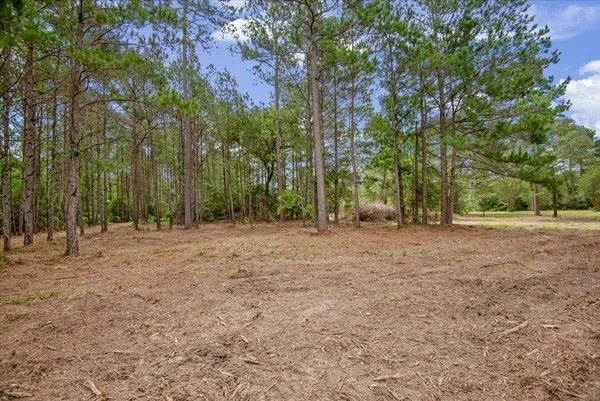 $953,626 | 302 County Road 302, Navasota, TX 77868