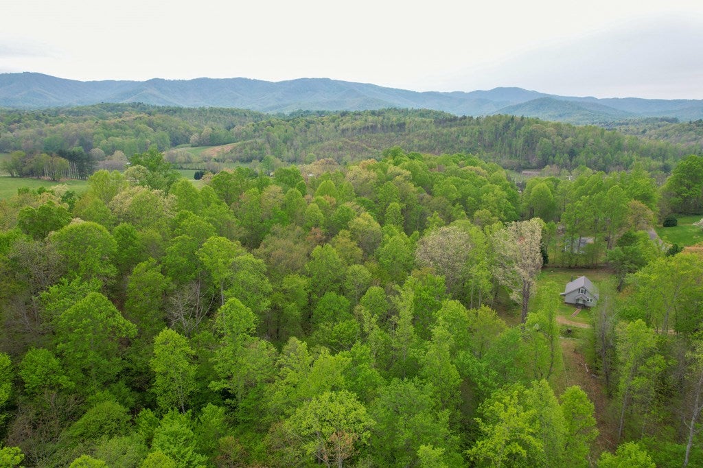 268 Hillside Road Woolwine, VA 24185 - Photo 42 of 44 Gallery Image 42