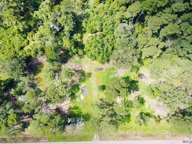 $45,000 | 1036 Holden La, Holden, LA 70744