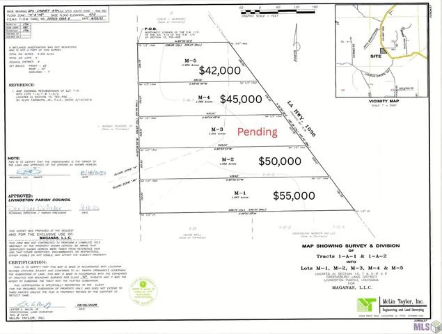 $45,000 | 1036 Holden La, Holden, LA 70744