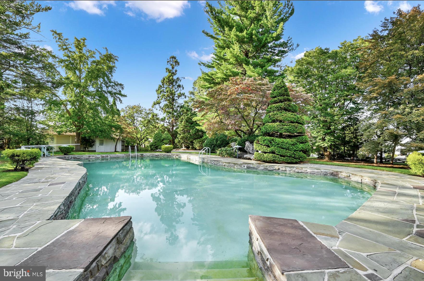 228 Clearview Road Hanover, PA 17331 - Photo 8 of 89 Pool in the Summer!