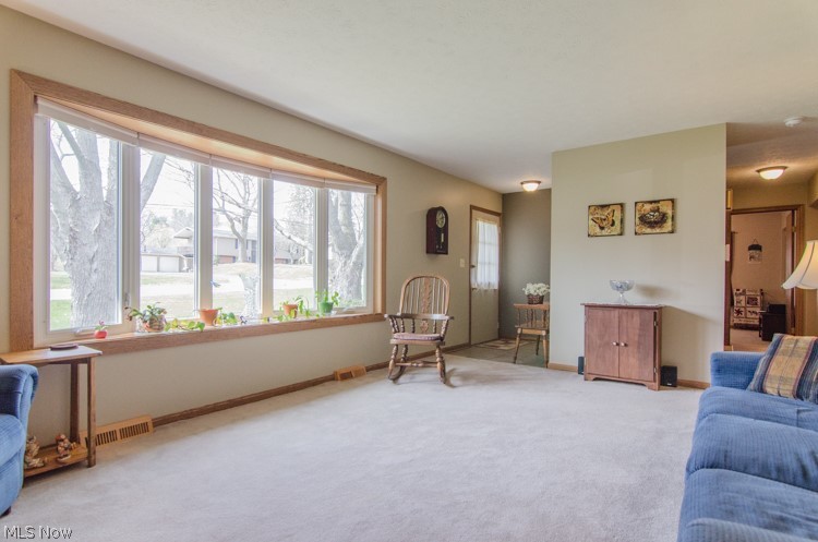 5656 Horning Road Kent, OH 44240 - Photo 3 of 35 Gallery Image 3