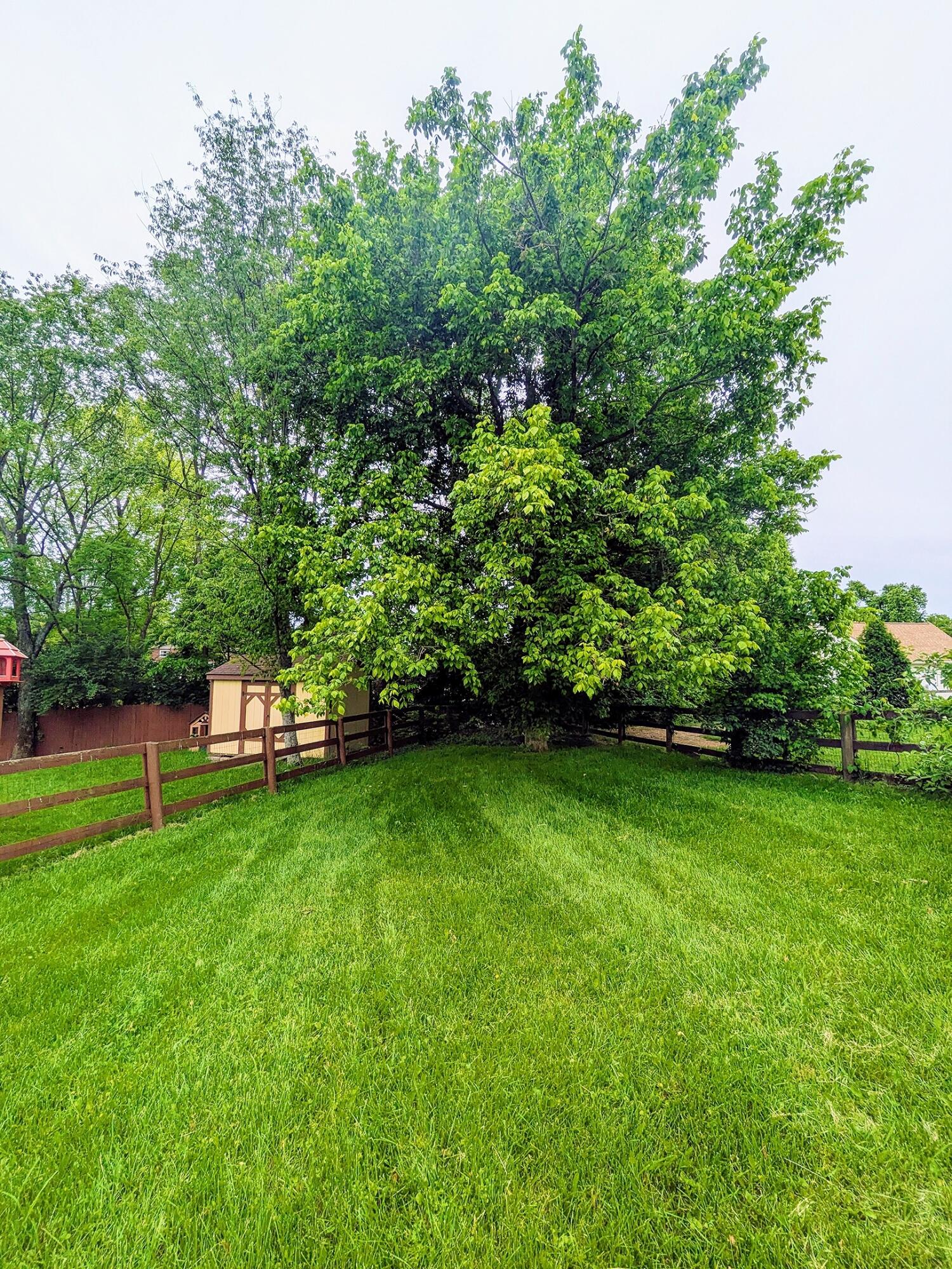 1413 R R J Lane Union, KY 41091 - Photo 24 of 27 Gallery Image 24