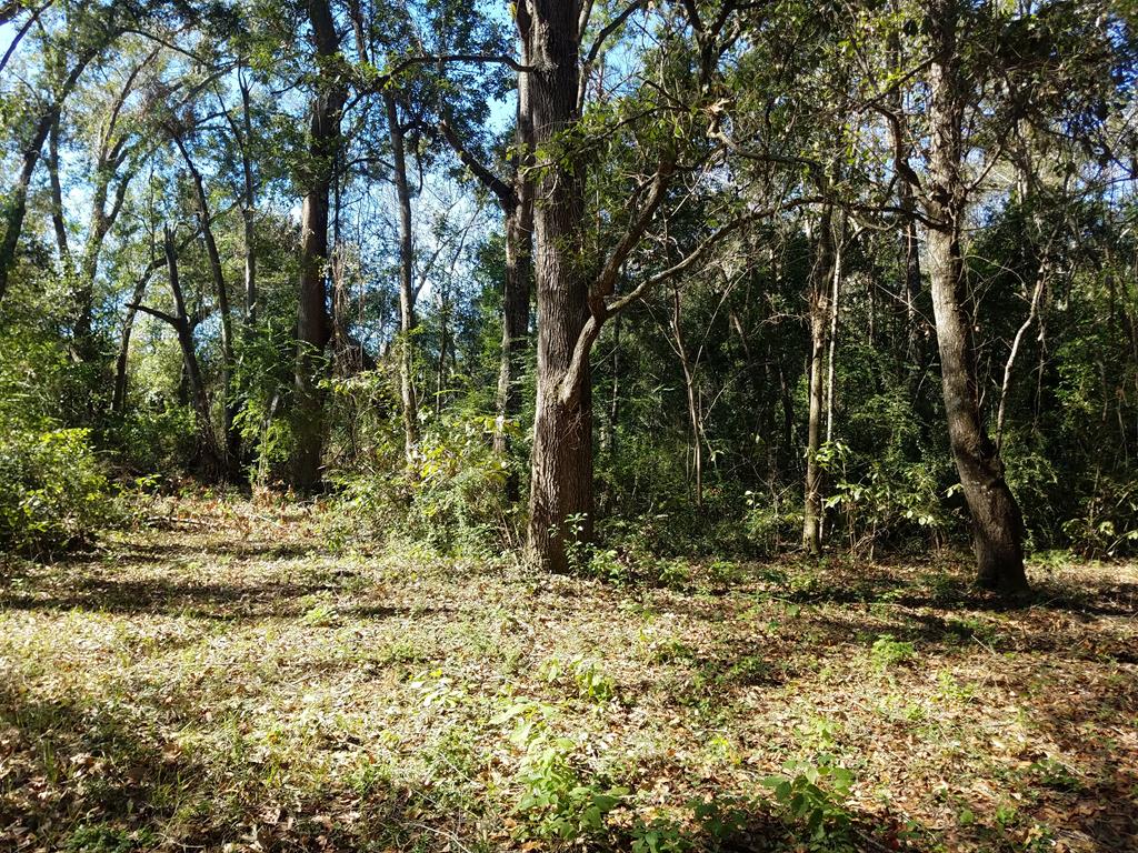 731 Drew Road, Unit 2B Ochlocknee, GA 31773 - Photo 1 of 1 Main View