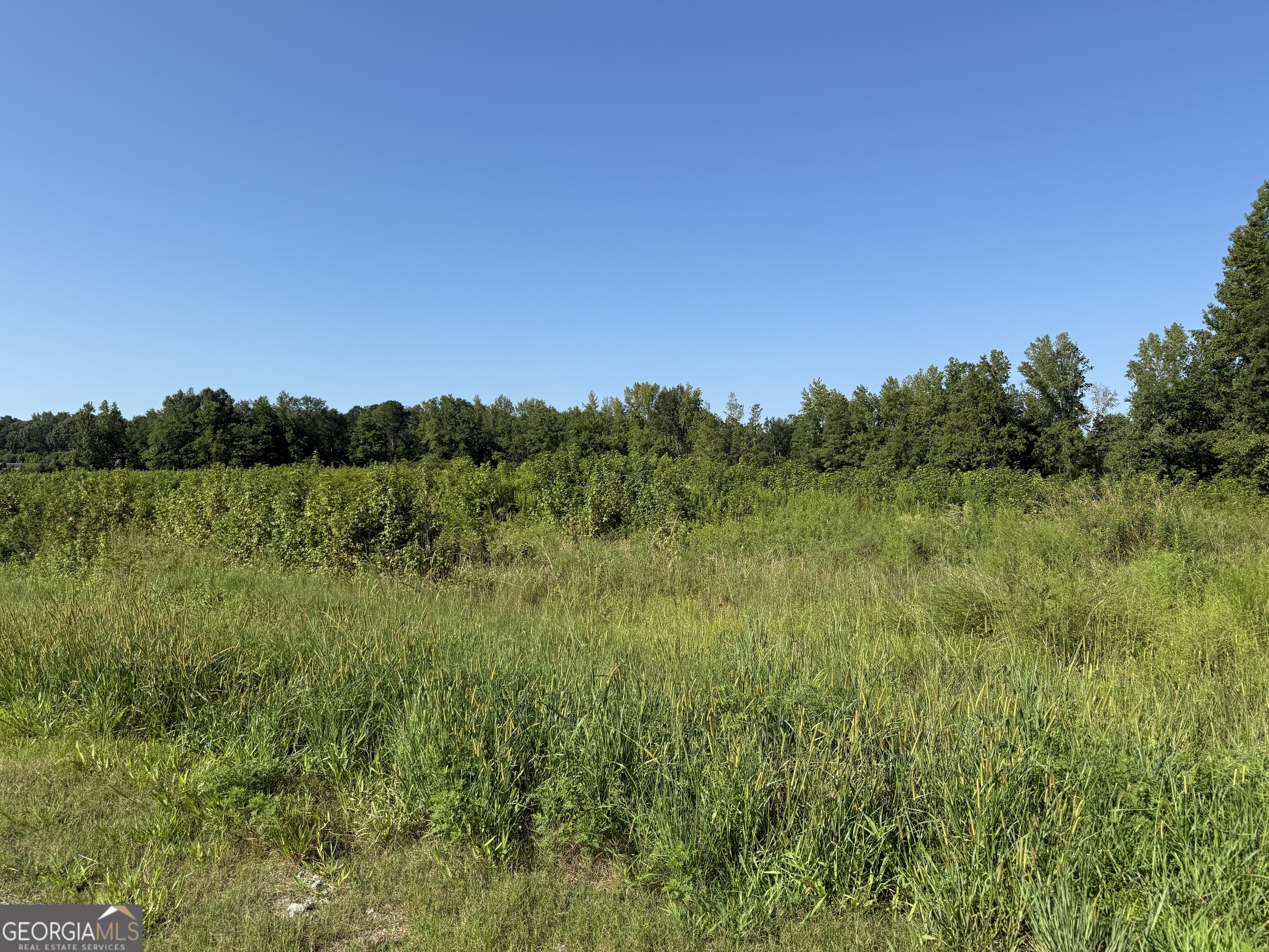 0 North Ga Highway 113 Temple, GA 30179 - Photo 1 of 15 a view of a lush green space