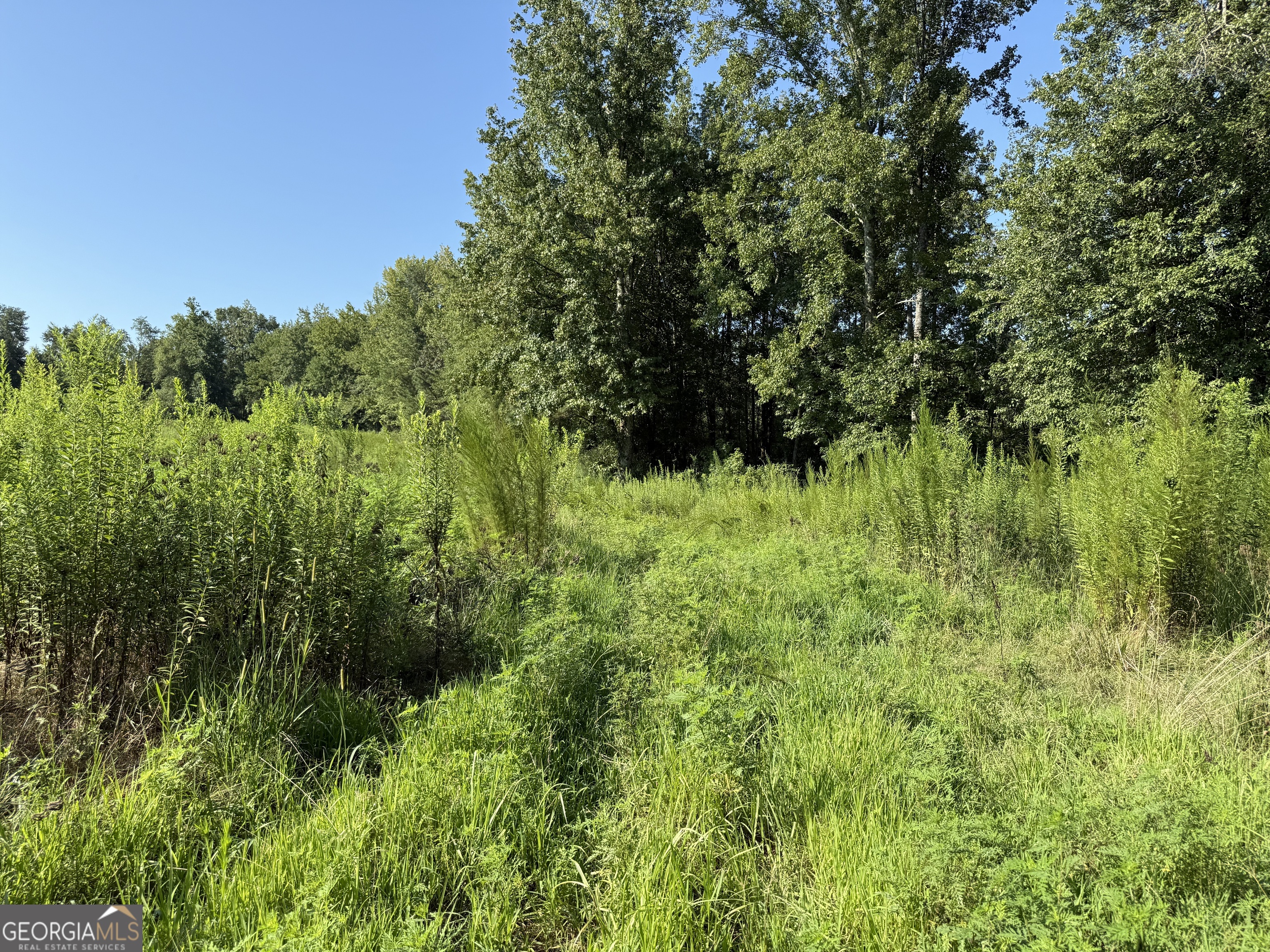 0 North Ga Highway 113 Temple, GA 30179 - Photo 13 of 15 a view of a lush green space