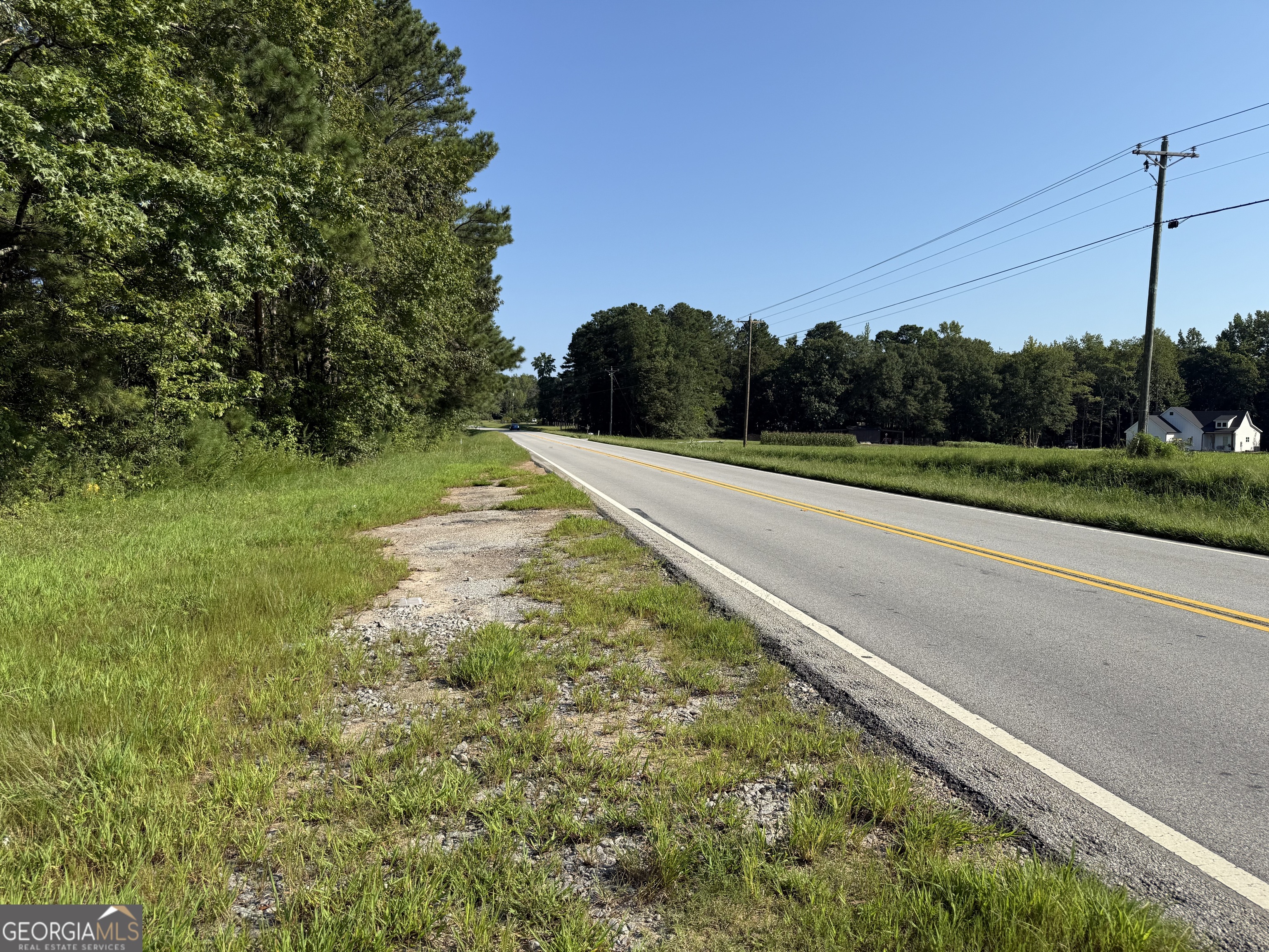 0 North Ga Highway 113 Temple, GA 30179 - Photo 4 of 15 a view of a yard with a large trees