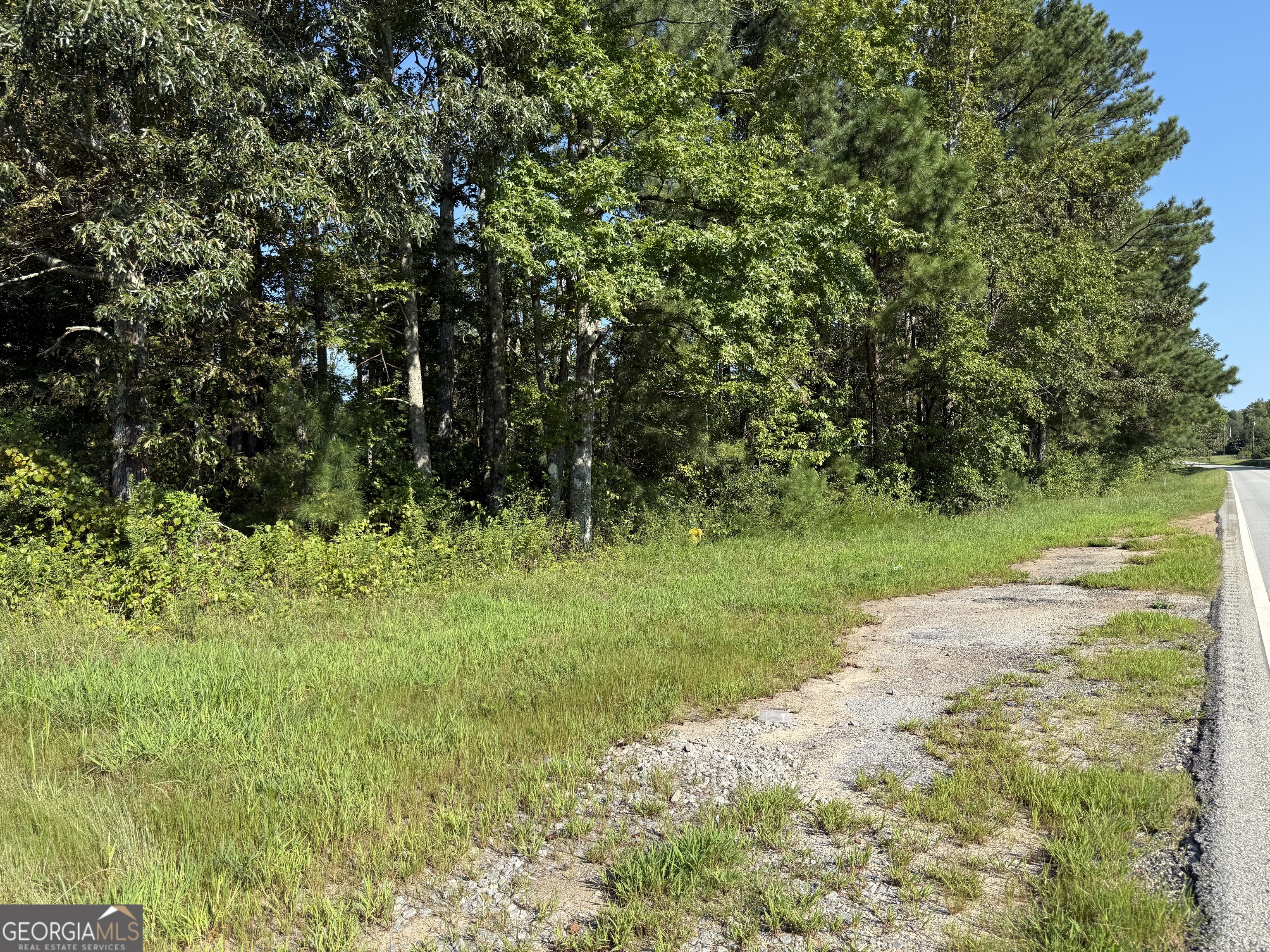 0 North Ga Highway 113 Temple, GA 30179 - Photo 6 of 15 a view of a garden with a tree