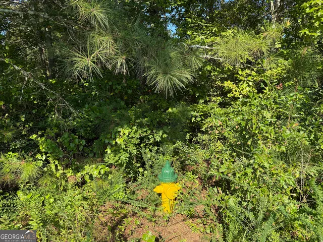 a view of a lush green forest with lots of trees